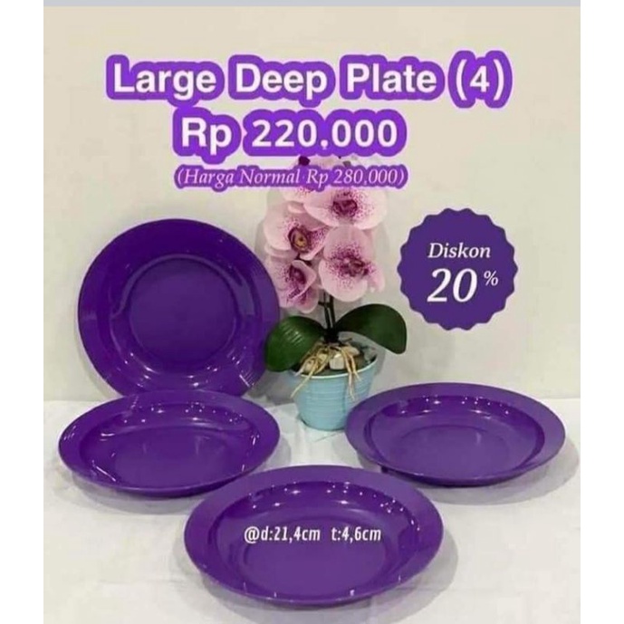 Jual Tupperware - Large Deep Plate 4 pcs | Shopee Indonesia