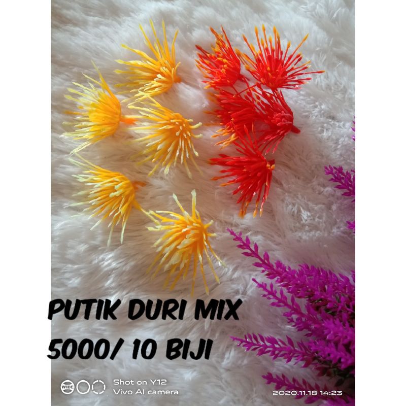 Jual putik duri | Shopee Indonesia