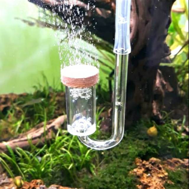Jual DIFFUSER CO2 DIY UNTUK DIY DAN TABUNG | Shopee Indonesia