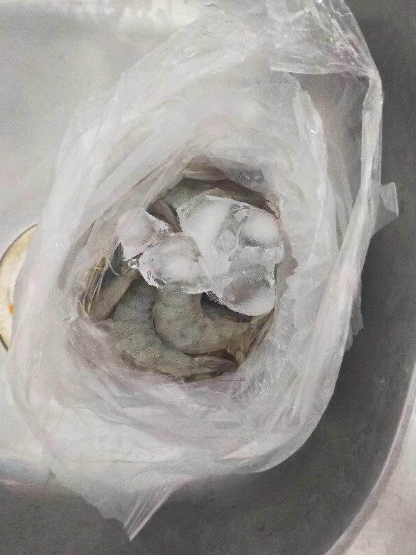 Jual udang segar Surabaya