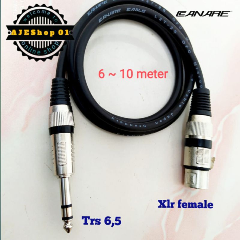 Jual Kabel Microphone Kabel Jack Xlr Female To Akai Trs Kabel Canare Sampai Meter