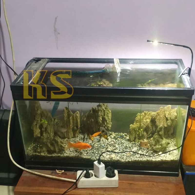 Jual Lampu Aquarium Lampu Akuarium Jepit Colokan Usb Lampu Belajar 5 ...