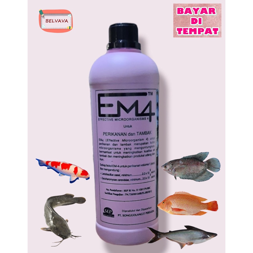 Jual EM4 PERIKANAN DAN TAMBAK 1 LITER | Shopee Indonesia