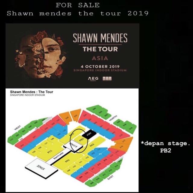 Jual Ticket shawn mendes singapore (4/10/2019) Shopee Indonesia