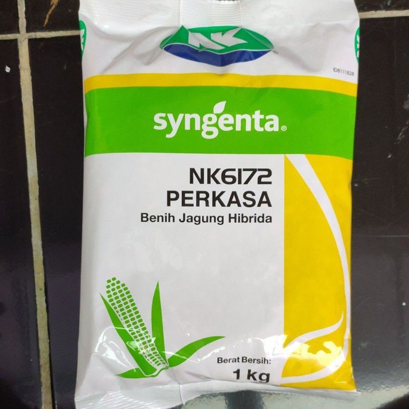 Jual Benih Jagung Hibrida NK6172 PERKASA Kemasan 1kg | Shopee Indonesia