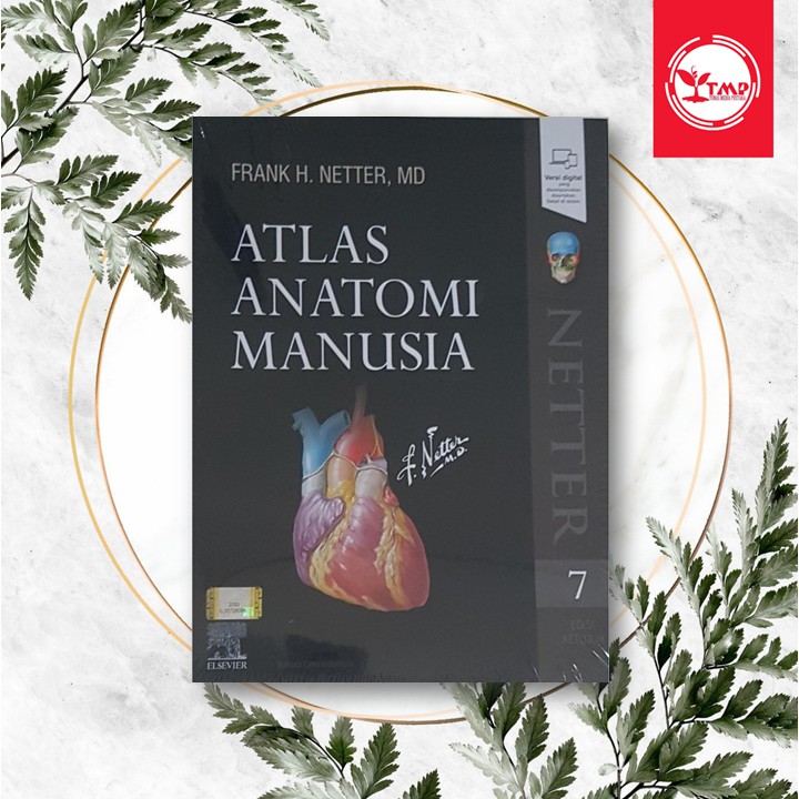 Jual [ORIGINAL] Atlas Anatomi Manusia Netter Edisi 7 | Shopee Indonesia