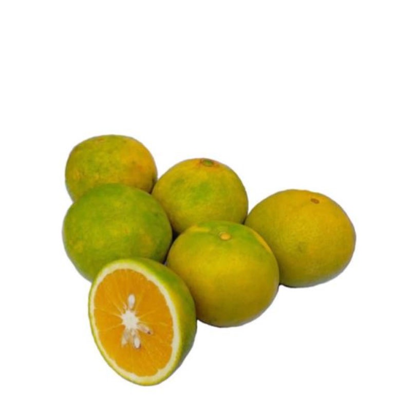 Jual Jeruk Baby Java 500 gr | Shopee Indonesia