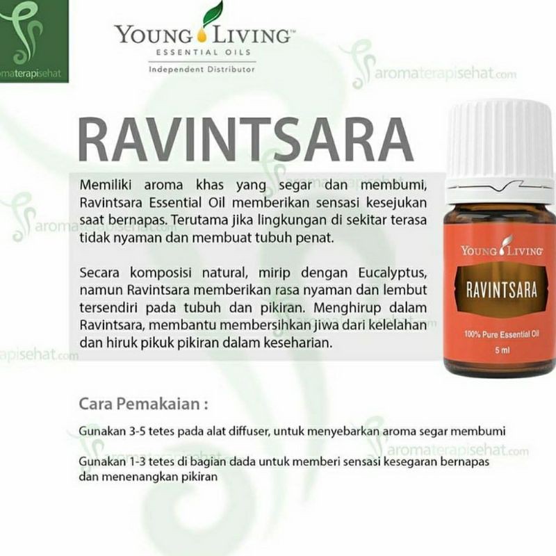 Jual ravintsara 5 ml | Shopee Indonesia