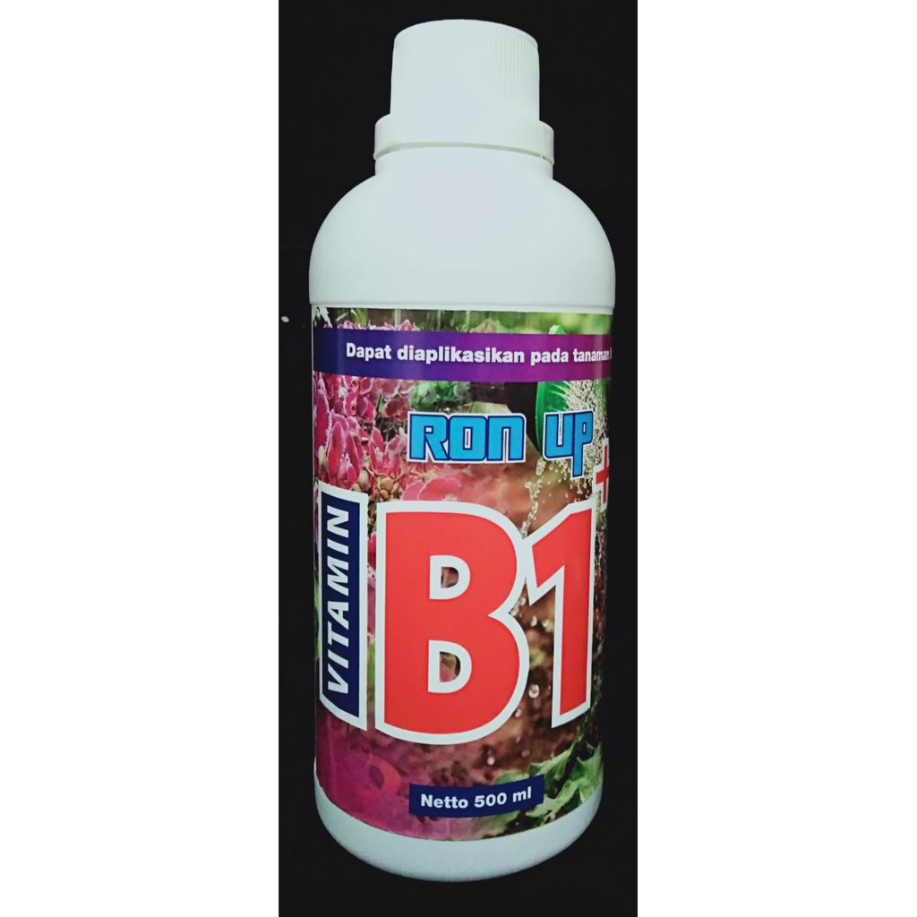 Jual Vitamin B1+ 500ml | Shopee Indonesia