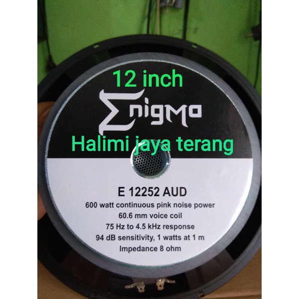 Speaker enigma 12 store inch