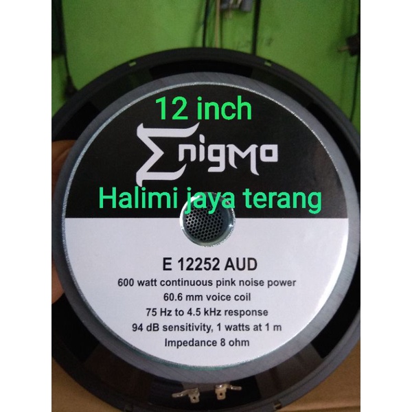 Speaker enigma 12 store inch