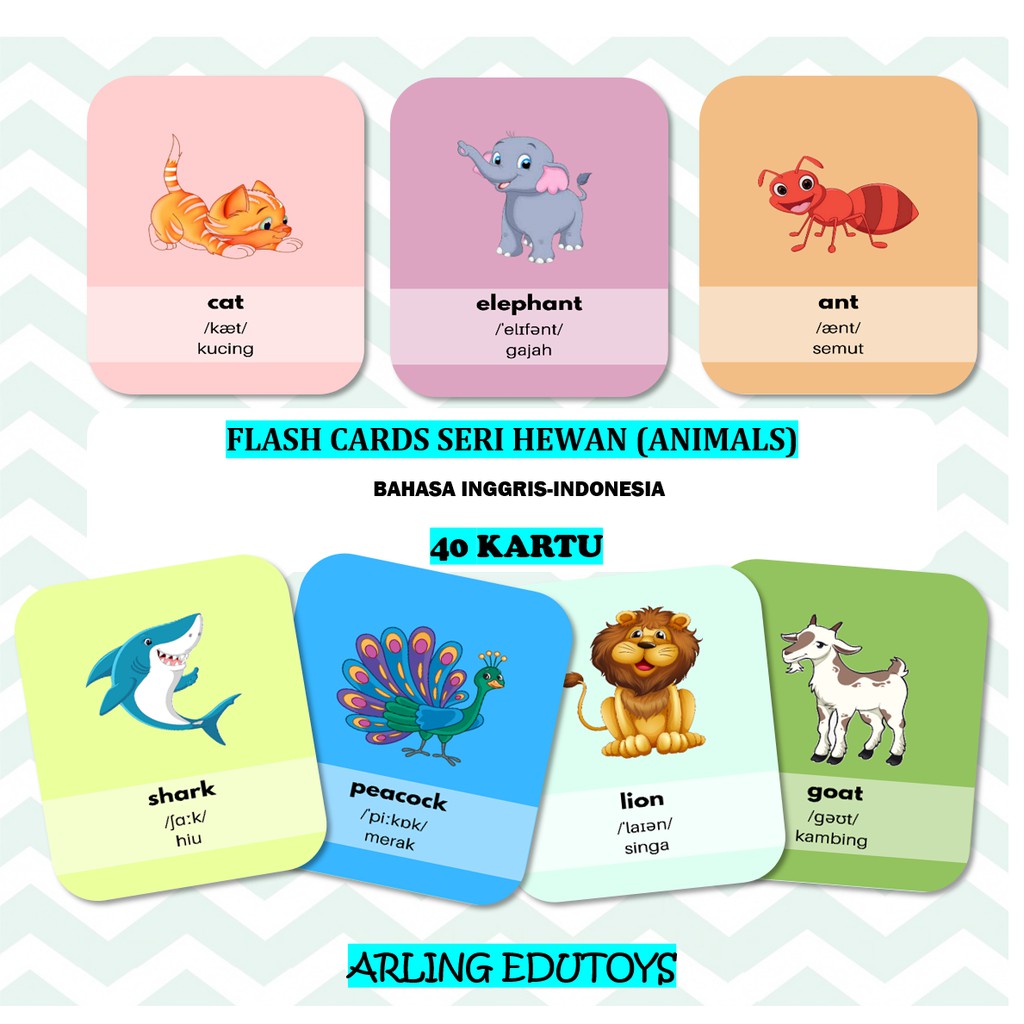 Jual FLASH CARD FLASHCARD KARTU BELAJAR EDUKASI PINTAR ANAK SERI HEWAN BILINGUAL Shopee Indonesia