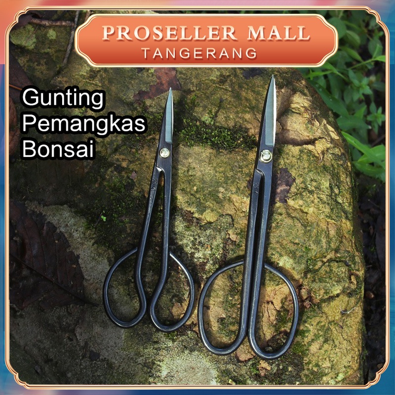 Jual Gunting Pemangkas Bonsai Bunga Tanaman/Gunting Bonsai Pruning Daun ...