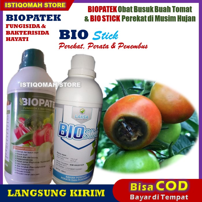 Jual Biopatek Bio Stick Fungisida Hayati Perekat Obat Pencegah Penyakit Busuk Buah Pada