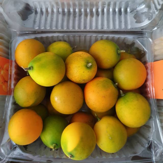 Jual Jeruk Kimkit Madu Kumquat Fresh Per Pack Shopee Indonesia