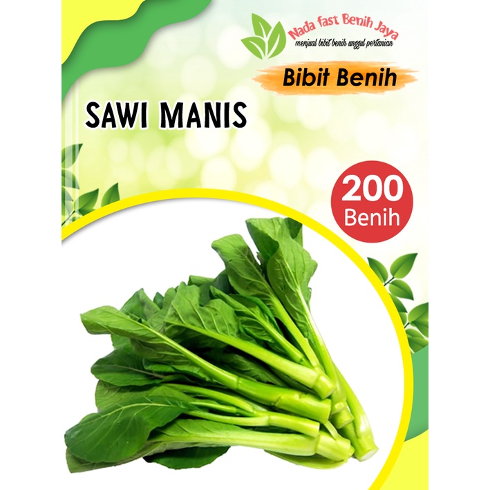 Jual Bibit Benih Biji Tanaman Sayur Benih Sayuran Komplit Bibit Sayuran Hidroponik Benih Sayuran