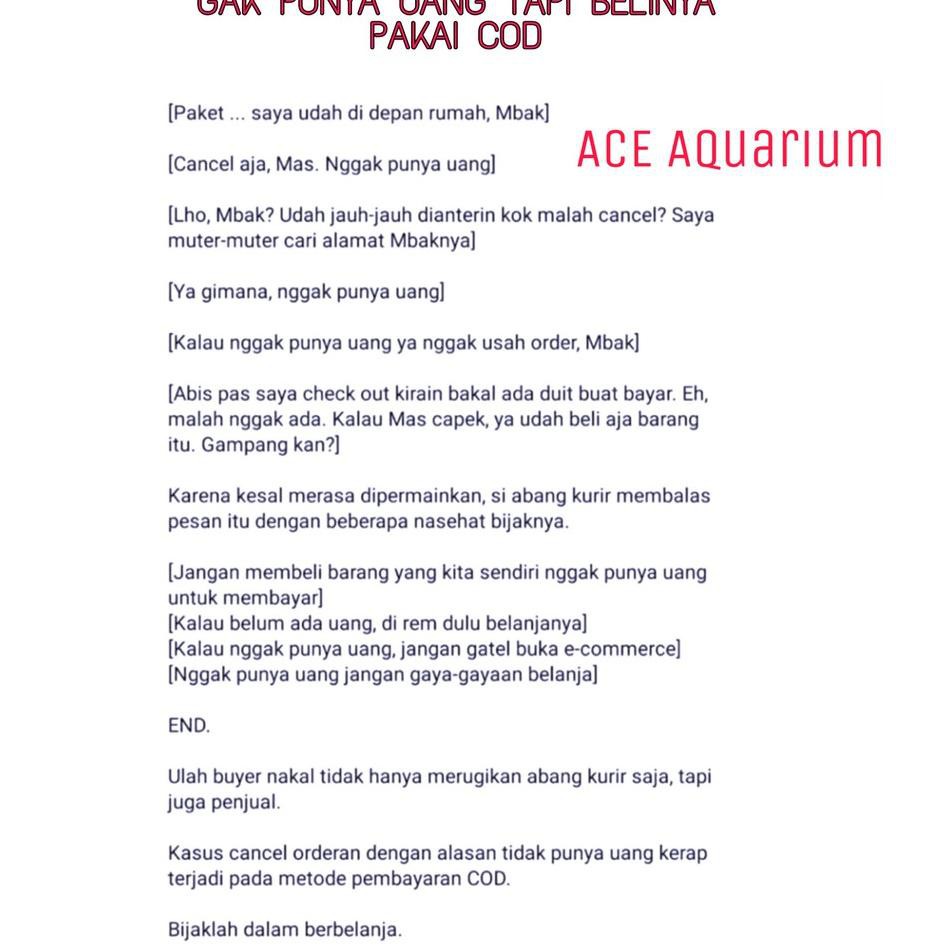 Jual Pompa Air Kolam Ikan Watt Kecil WP 3600 Water Pump ACE Aquarium