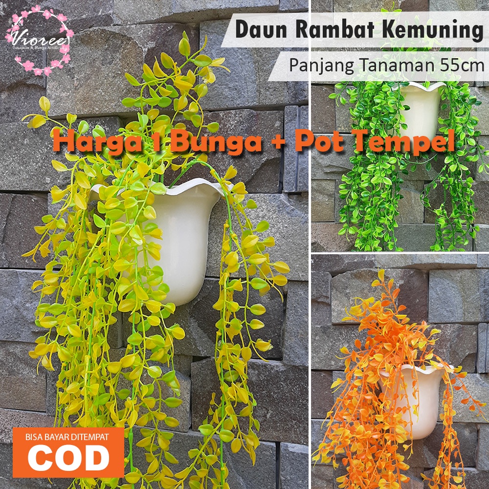 Jual Daun Rambat Plastik KEMUNING Pot Tempel Gantung Hiasan Dinding ...