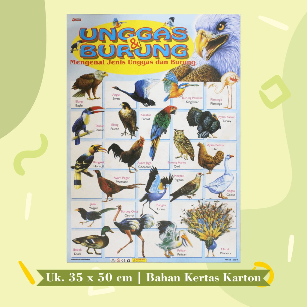 Jual Poster Edukasi Anak Mainan Edukasi Anak Lembaran : Herbivora