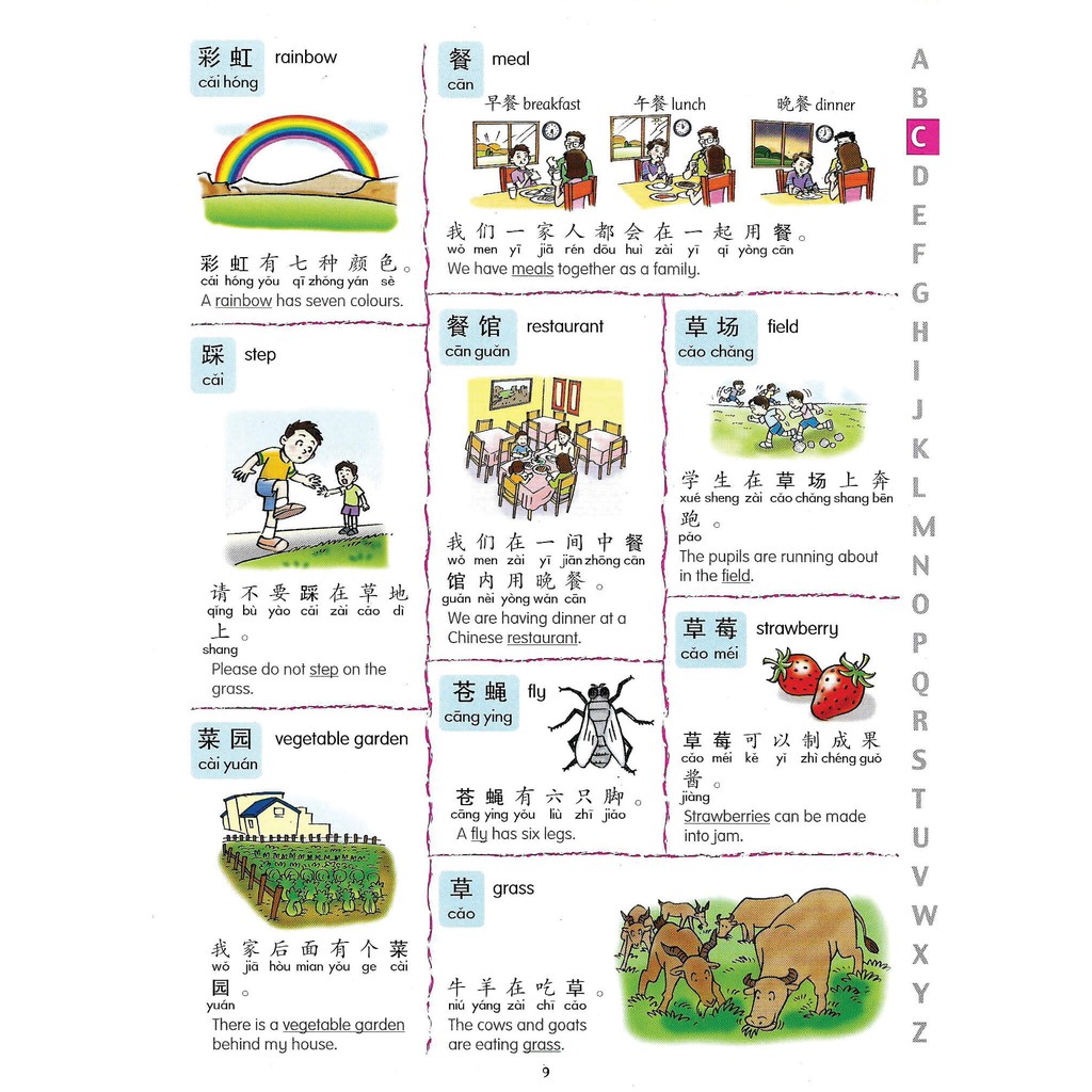 Jual Kamus Anak : Han Yu Pin Yin Picture Dictionary (Mandarin) | Shopee ...