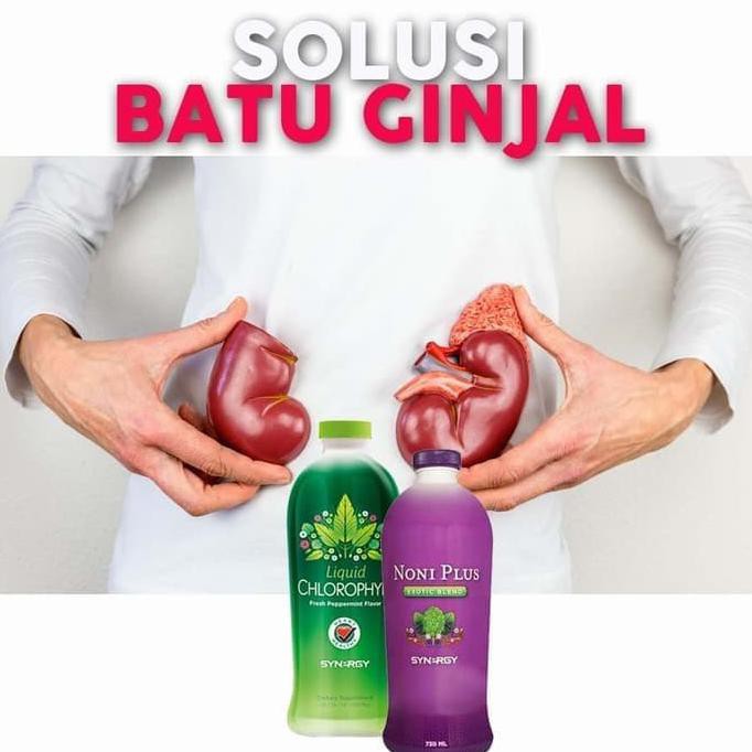 Jual 864U675-A Paket Herbal Obat Sakit Batu Ginjal (Noniplus ...