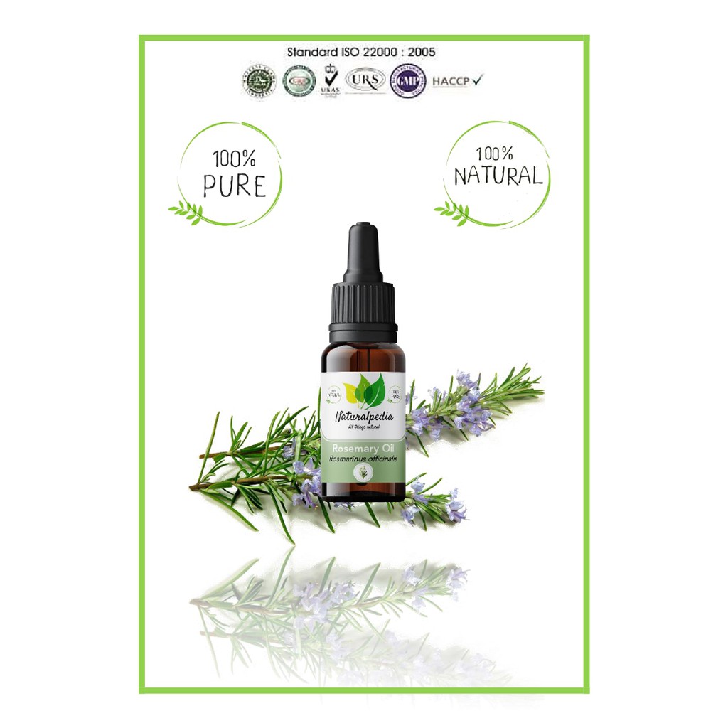 Jual Pure Rosemary Essential Oil / Minyak Atsiri Esensial Rosemari Rose ...