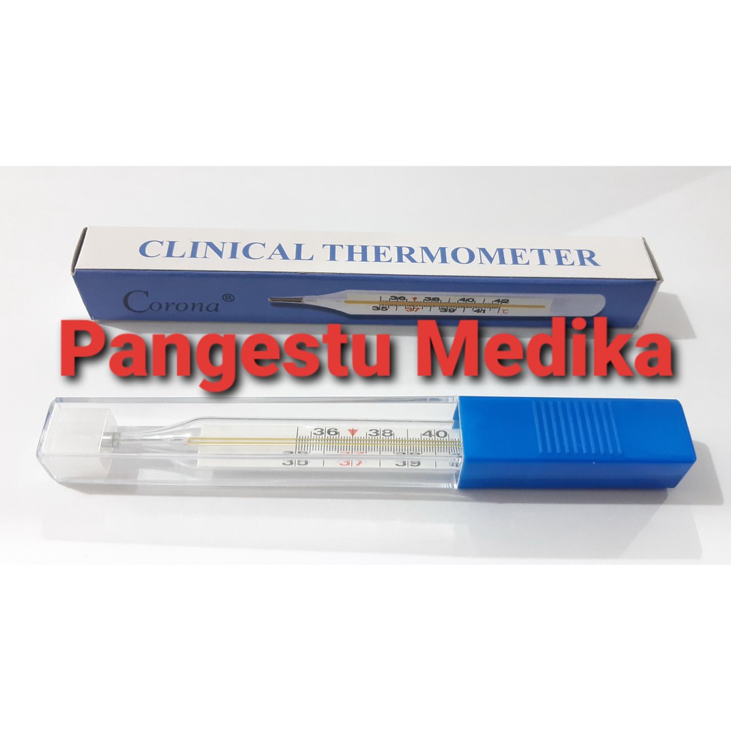 Jual Thermometer Manual / Thermometer Air Raksa | Shopee Indonesia