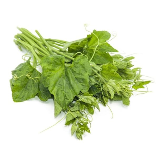 Jual Daun labu segar 1 ikat (freshjktid) | Shopee Indonesia