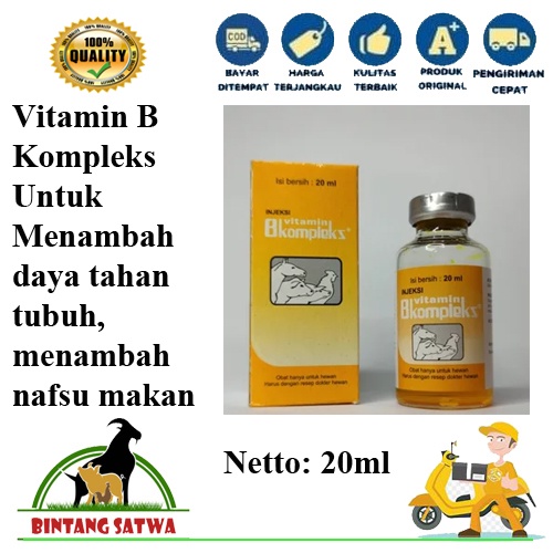 Jual Vitamin B-Complex 20ml Injeksi | Shopee Indonesia