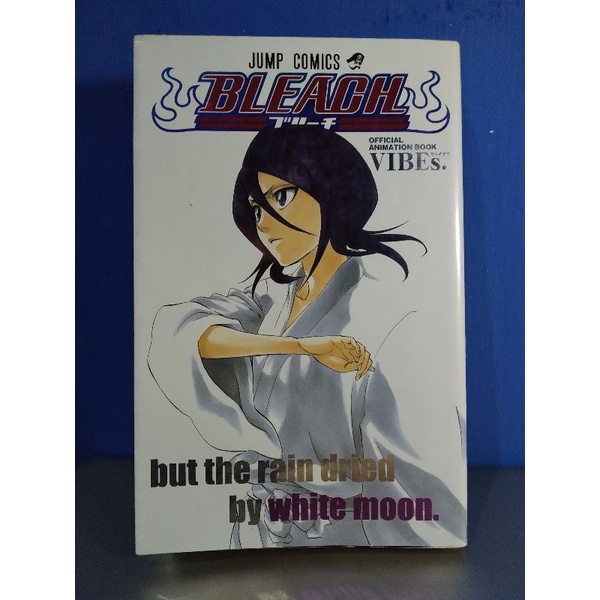 Bleach Official Animation Book Vibes