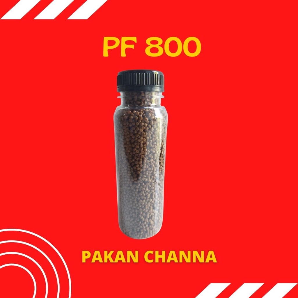 Jual Pakan Ikan Channa Pelet Ikan Chana Murah Pf 800 150 Gram Makanan