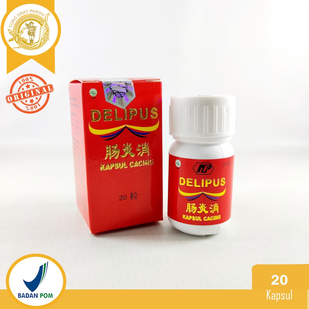 NAN FUNG KAPSUL CACING DELIPUS / CHANG YEN SIAO / CHANG YAN XIAO / TURUN PANAS