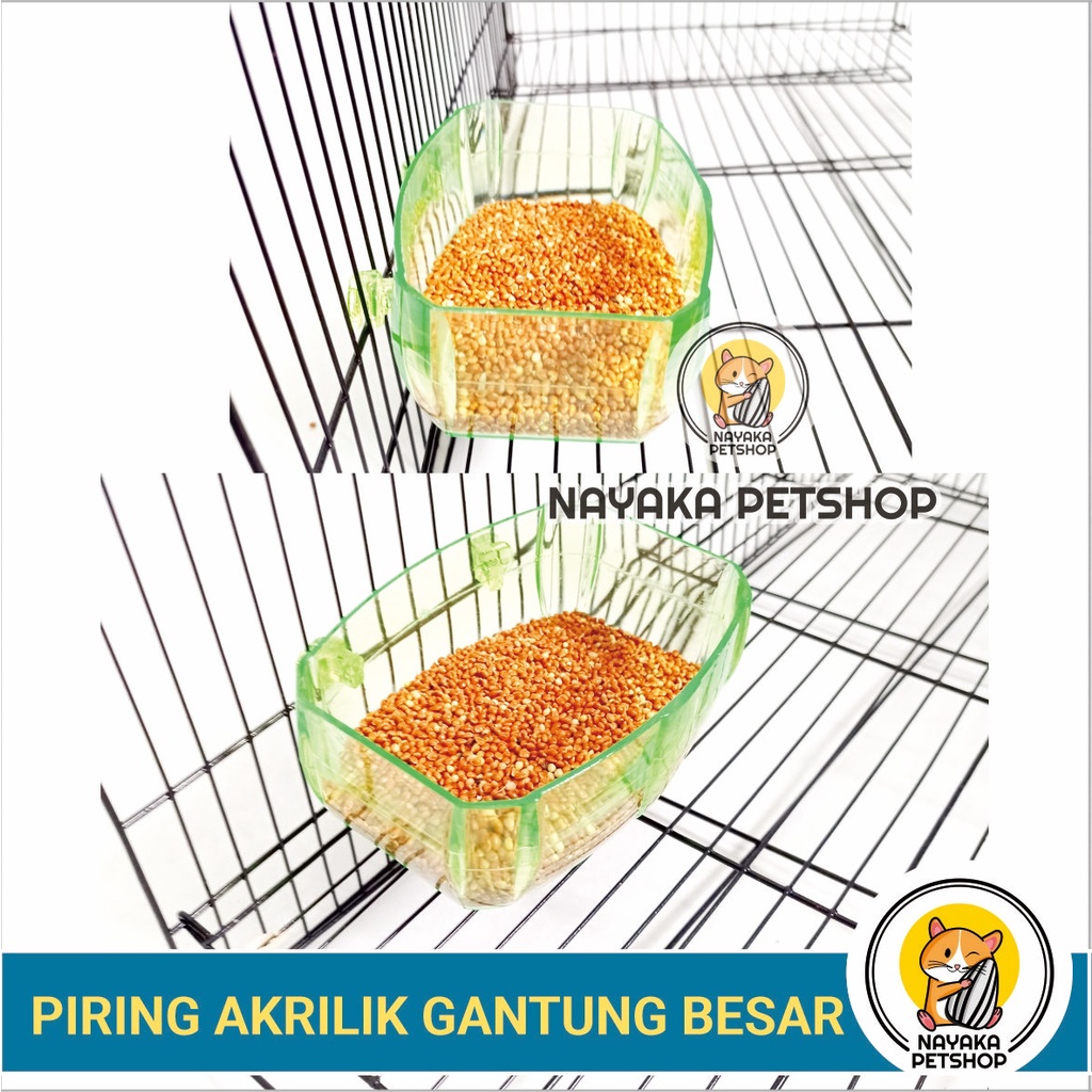 Jual Wadah Pakan Hamster Akrilik Tempat Air Minum Bajing Piring Makan Makanan Sugar Glider