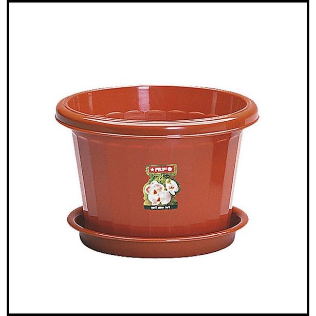 Jual Lion Star Lily Pot Tanaman Bunga Garden Taman Kebun Plastik