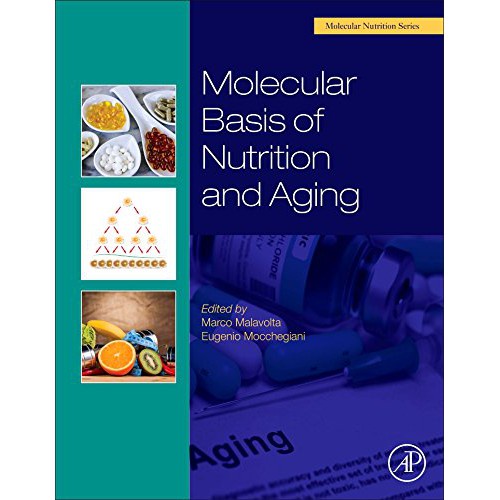 Jual Molecular Basis Of Nutrition And Aging. A Volume In The Molecular ...