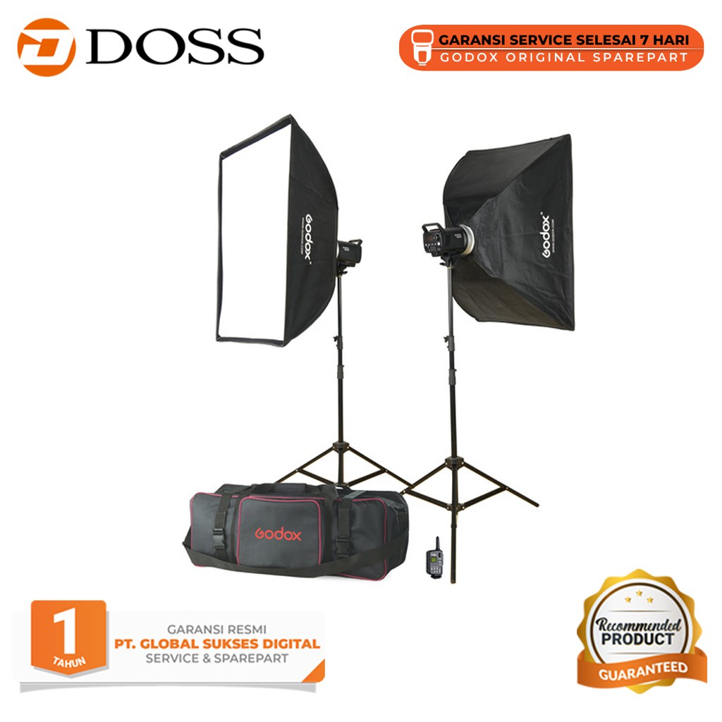 Godox MS300-F 2-Monolight Kit