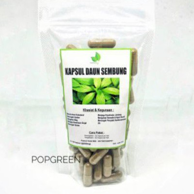 Jual Kapsul Daun Sembung Shopee Indonesia