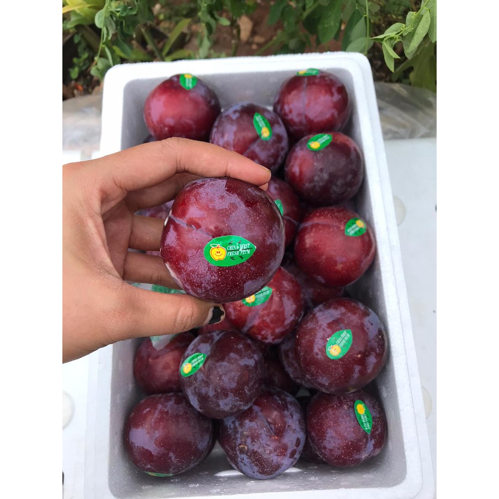 Jual Plum Hitam 500 gram | Shopee Indonesia