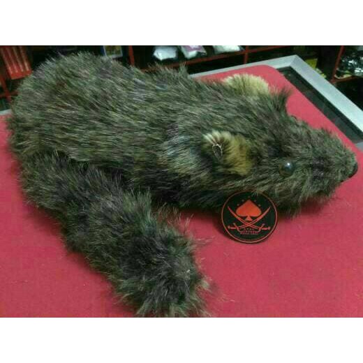 Jual alat sulap boneka racoon | Shopee Indonesia