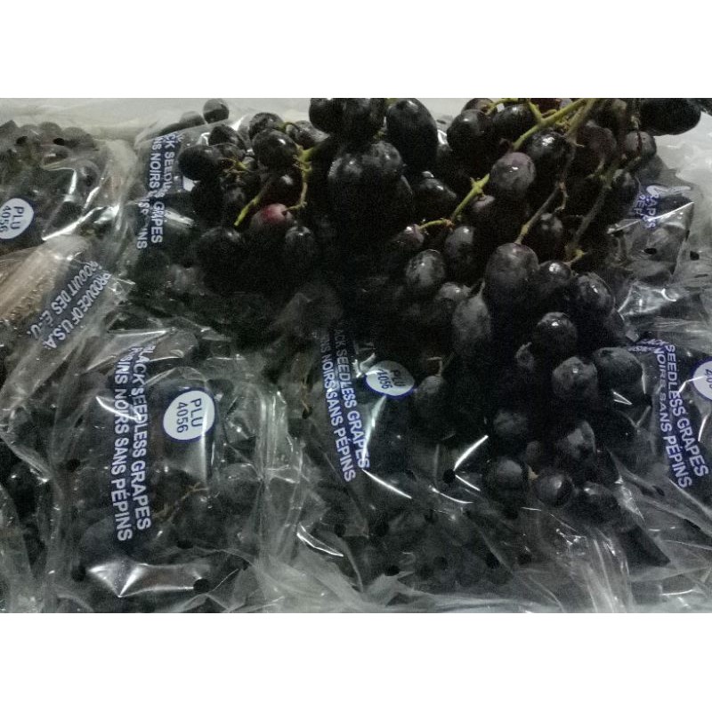 Jual Anggur Black Autumn Royal Seedless USA | Shopee Indonesia