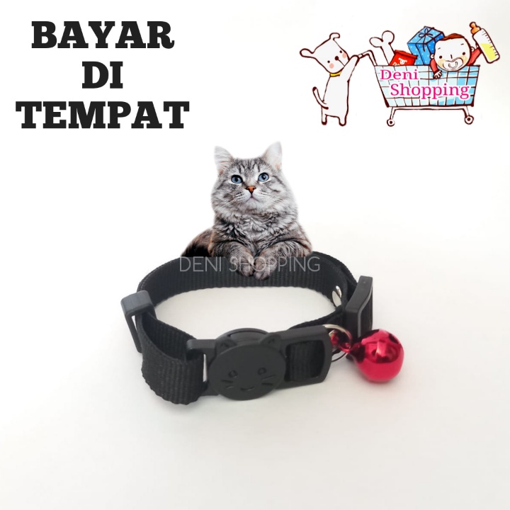 Jual kalung kucing anjing monyet musang model kucing lonceng polos