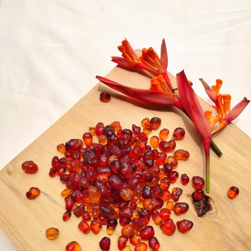 Jual EXTRA PEACHGUM / EXTRA SNOW BIRD NEST Shopee Indonesia