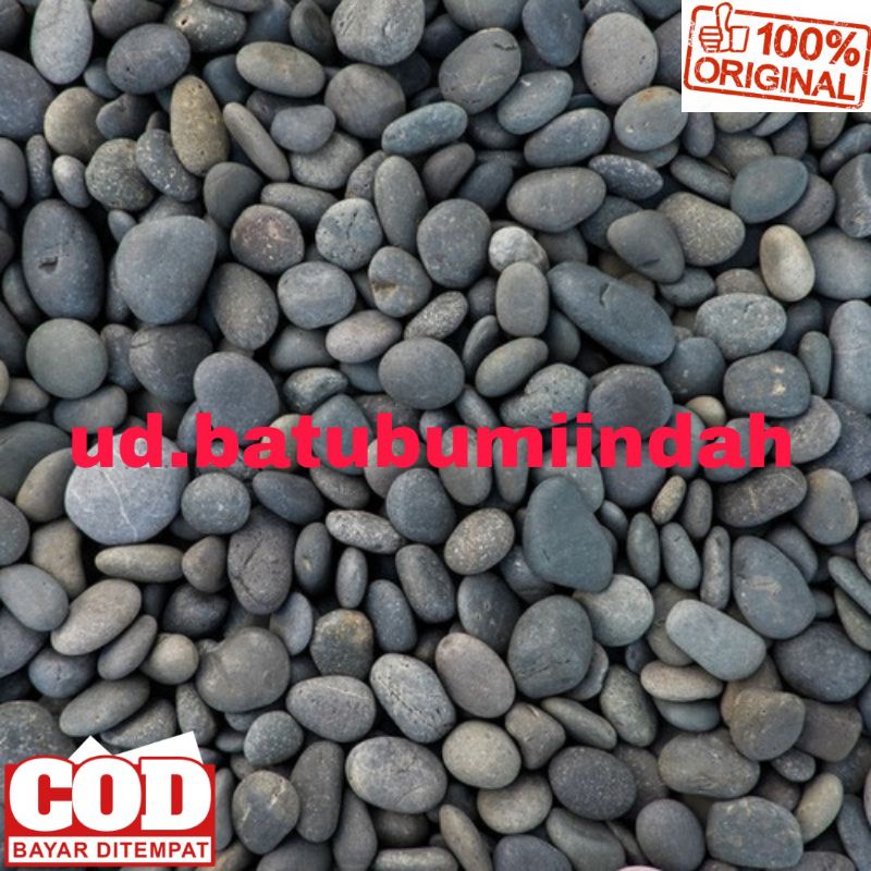 Jual Batu Koral Hitam Kecil Batu Alor Hitam Hiasan Taman & Aquarium