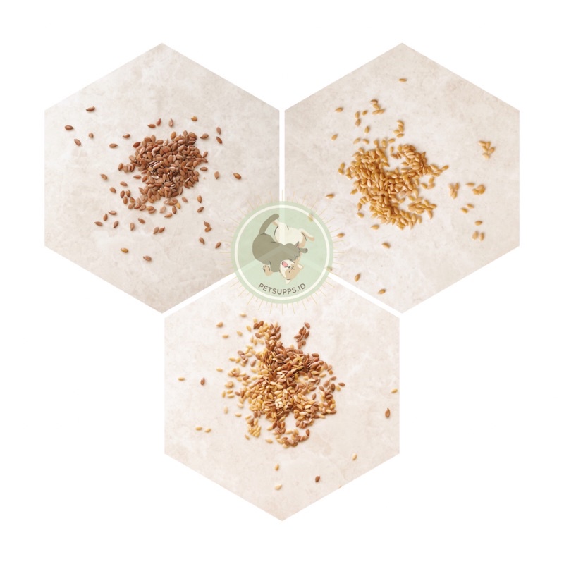 Jual Flaxseed 10gr healthy snack hamster cemilan hamster diet
