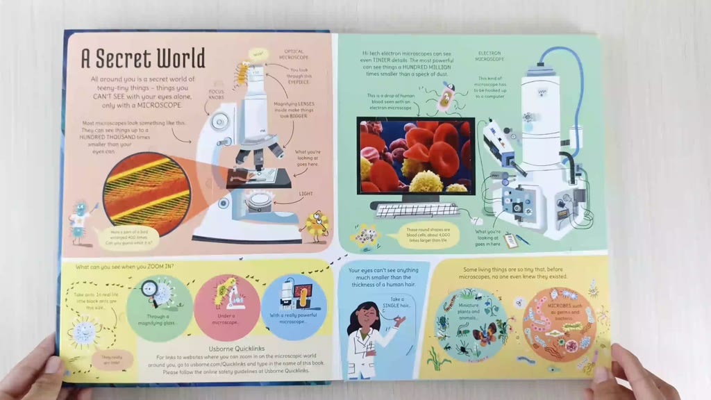 Jual ORIGINAL Usborne See Inside The Microscopic World - Leon Books ...