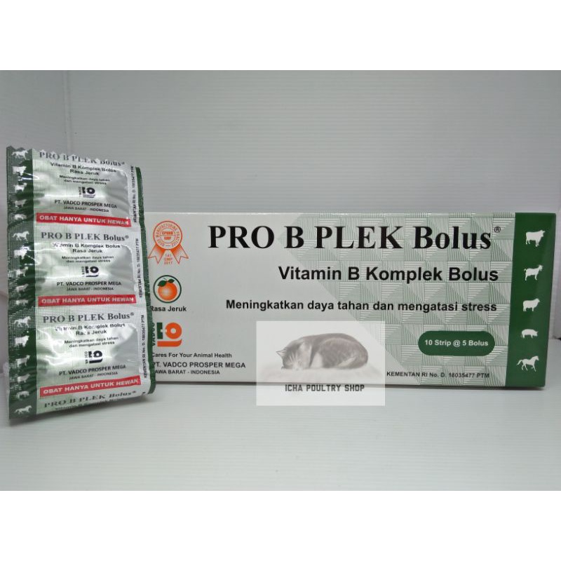 Jual PRO B PLEK Bolus / VITAMIN B KOMPLEK RASA JERUK Untuk HEWAN ...