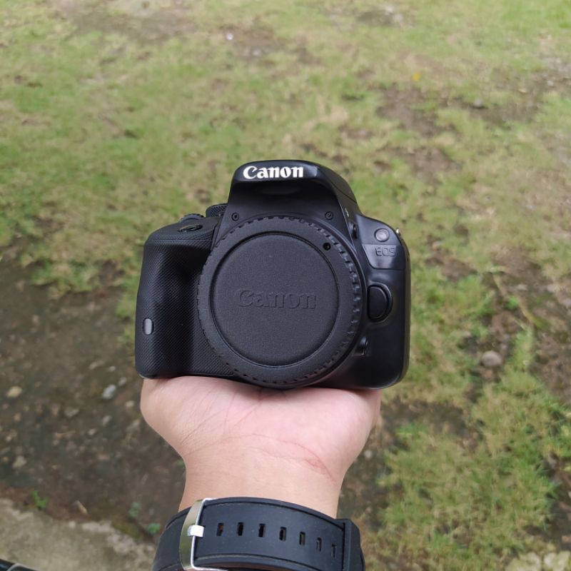 Gallery image with a fresh perspective