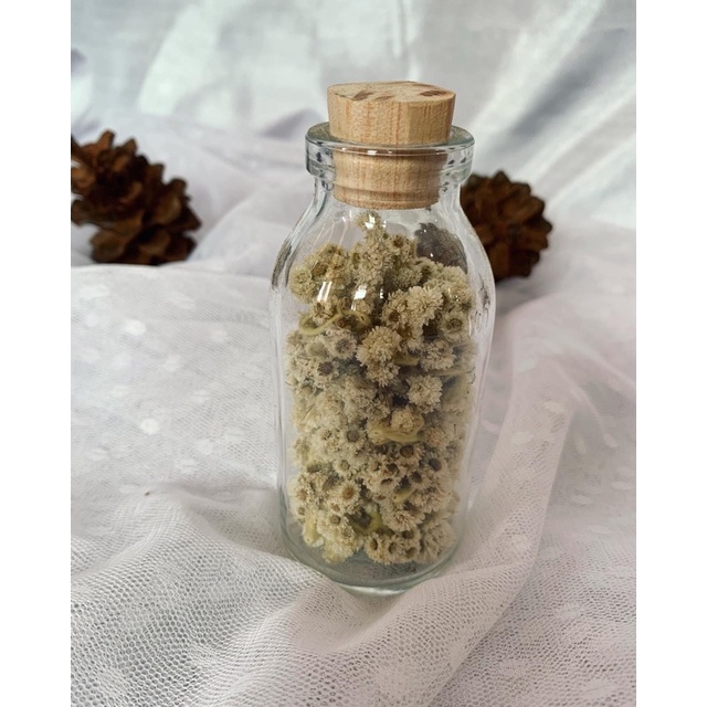 Jual HIASAN KAMAR BUNGA DALM BOTOL KACA / dekorasi rustic aesthetic ...