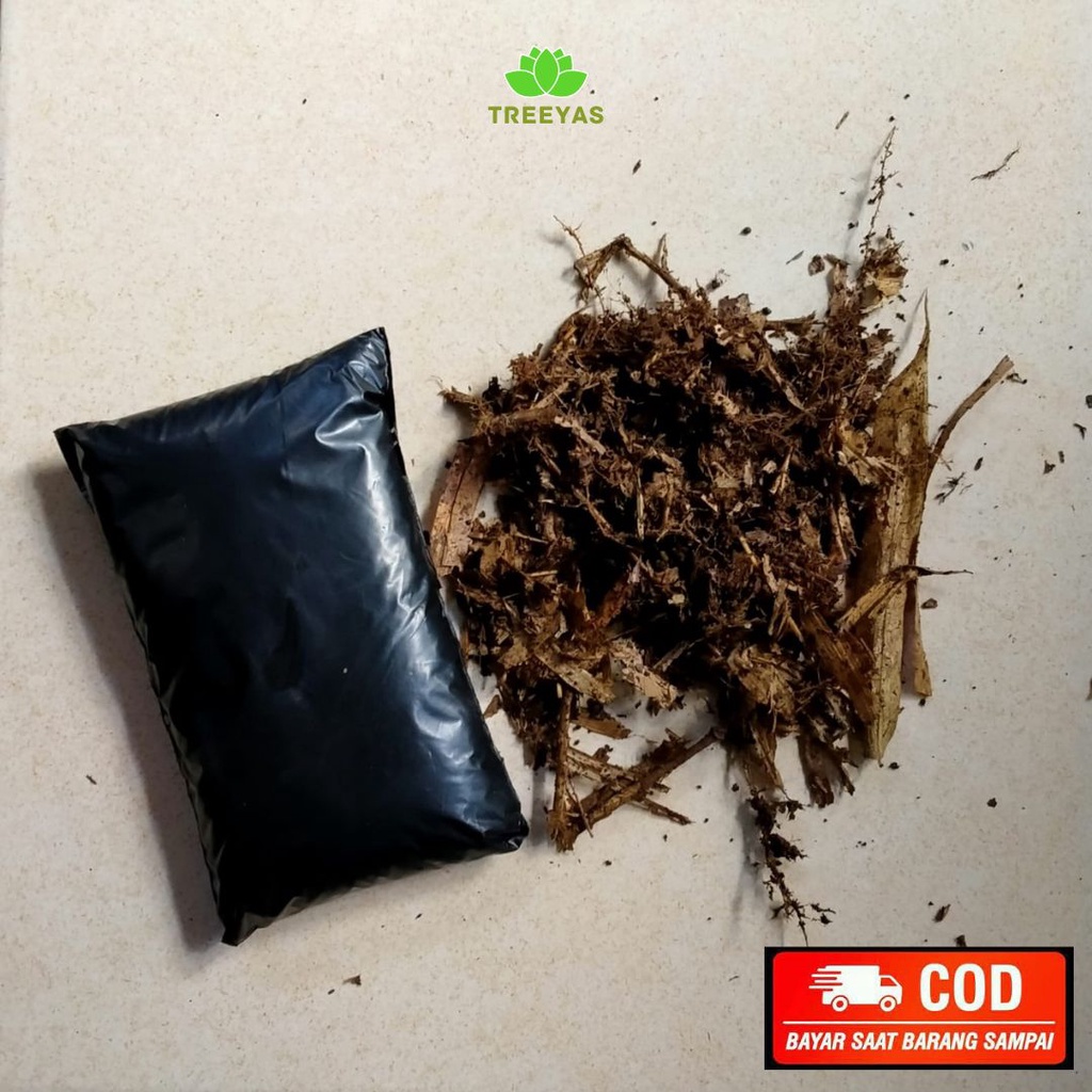 Jual humus daun bambu - kemasan plastik asli 100% | Shopee Indonesia