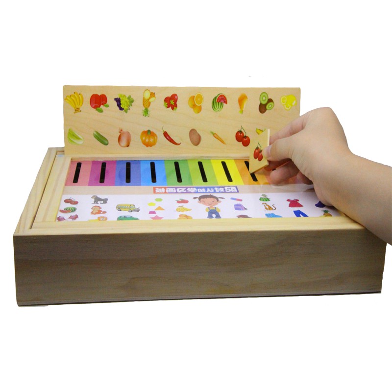 Jual Mainan Edukasi Knowledge Classification Box Natural | Shopee Indonesia